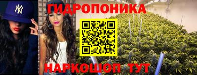 эйфоретик Ирбит