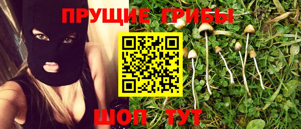 Галлюциногенные грибы GOLDEN TEACHER  Вход с VPN  Магадан  Псилоцибиновые грибы ЛСД 