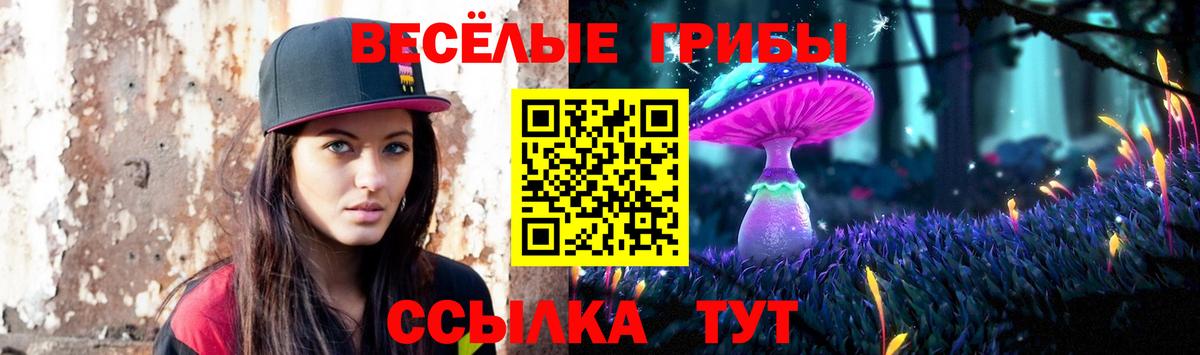 Галлюциногенные грибы GOLDEN TEACHER Магадан